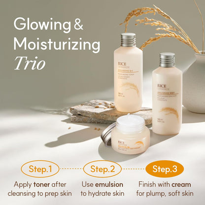 The Face Shop Rice Ceramide Moisturizing Cream 50ml (Made in Korea)